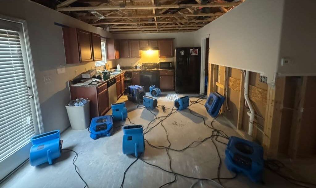 water damage reviews